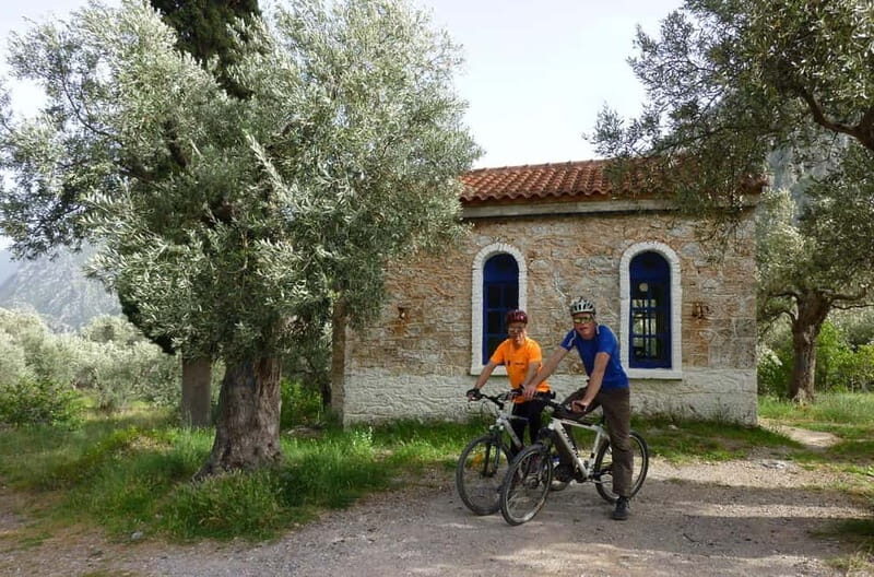 Mt. Parnassos: Mountain Bike in Altitude Forest - The Experience with Trekking Hellas