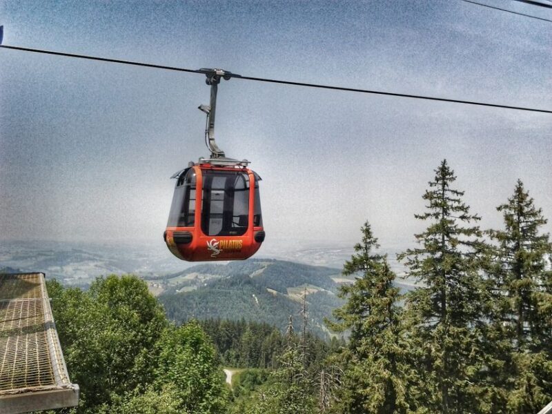 Mt. Pilatus Golden Roundtrip Private Day Trip from Basel - The Sum Up