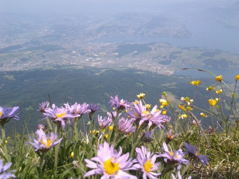 Mt.Pilatus Golden Roundtrip Small Group Day Trip from Luzern - Final Thoughts