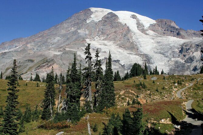 Mt. Rainier tour with Gandola ride at Sunrise and Paradise - The Itinerary in Detail: What You’ll Experience