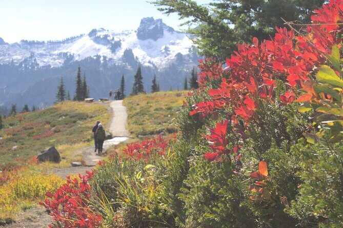 Mt. Rainier tour with Gandola ride at Sunrise and Paradise - Who Should Consider This Tour?