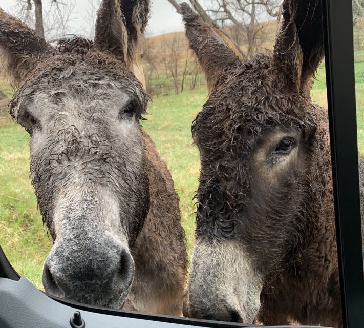Mt Rushmore, Crazy Horse, Custer State Park Monument Tour - Exploring the Black Hills with Your Private Guide