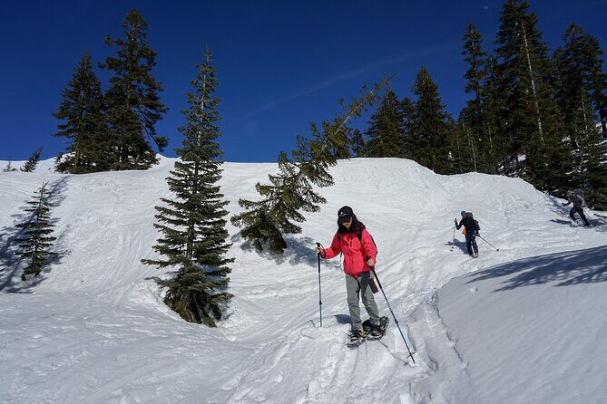 Mt. Shasta Snowshoeing Tours - What Is the Mt. Shasta Snowshoeing Tour All About?