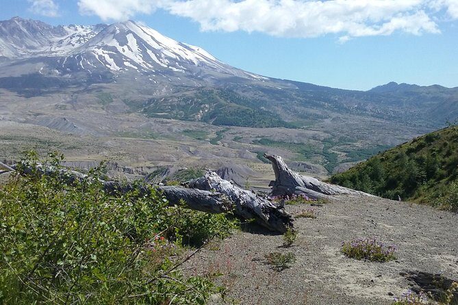 Mt St Helens Full Day Trip - Introduction
