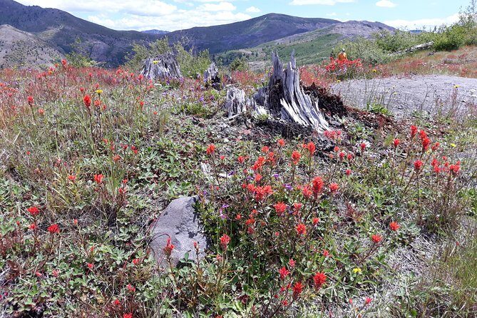 Mt St Helens Full Day Trip - FAQ