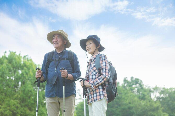 Mt.TAKAO Trekking 1 Day Tour - The Scenic Ascent and Views