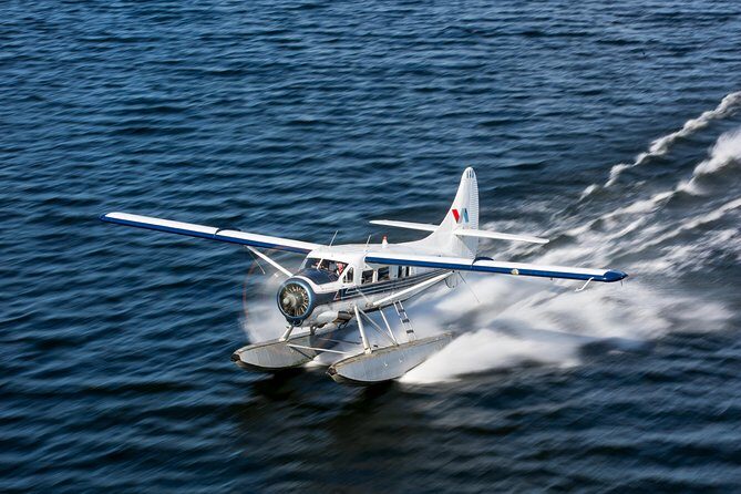 Mt. Tarawera Volcano Scenic Floatplane Tour from Rotorua - Introduction