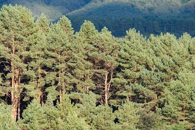 Mt. Teide and Masca Valley Tour in Tenerife - Final Thoughts