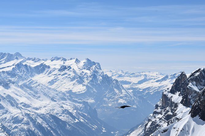 Mt. Titlis First Time Ski Experience from Zurich - What Makes This Tour Stand Out