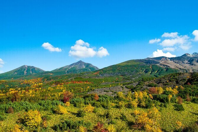 Mt. Tokachi Private Trekking Tour with Spectacular mountain view - Key Points