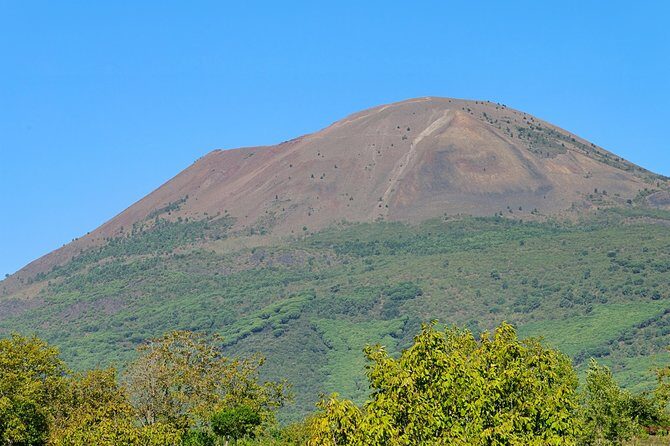 Mt Vesuvius Half-Day Trip from Naples - Final Thoughts: Who Should Consider This Tour?