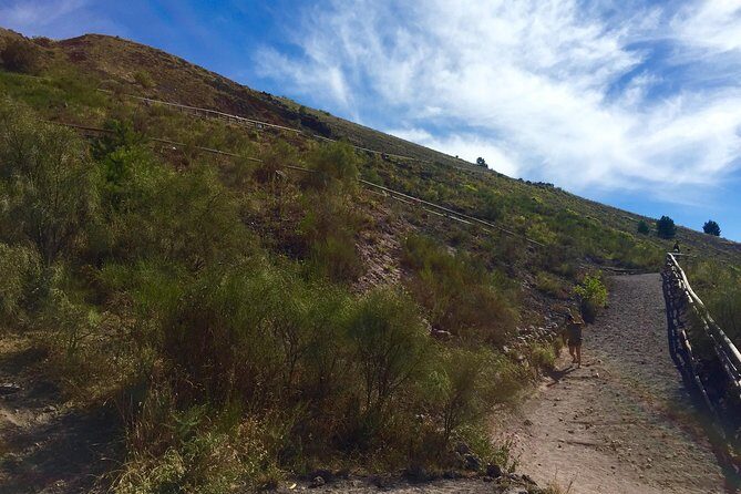 Mt. Vesuvius (Tour+Transfer) - The Sum Up