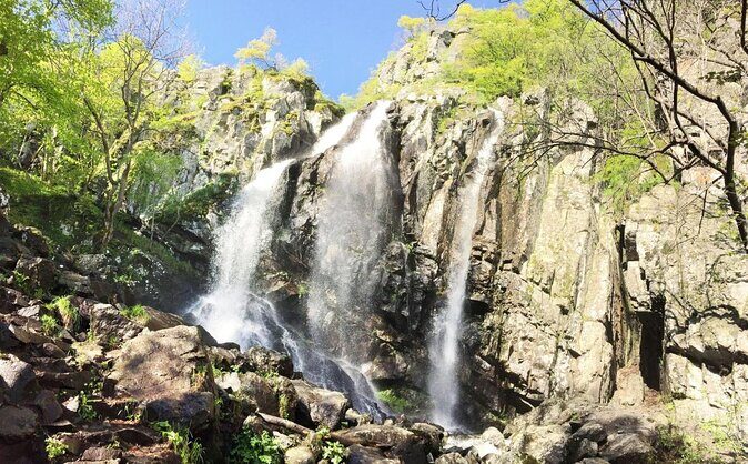 Mt. Vitosha and Boyana Waterfall Hiking Tour from Sofia - A Deep Dive into the Trekking Experience