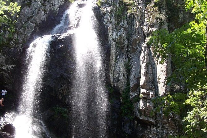 Mt. Vitosha and Boyana Waterfall Hiking Tour from Sofia - FAQs
