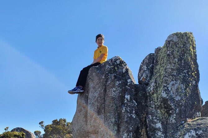 Mt Wellington Afternoon Small Group Driving Tour - FAQ