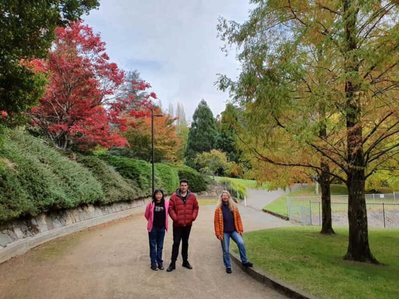 Mt Wellington Afternoon Small Group Driving Tour - Introduction: Why This Tour Stands Out