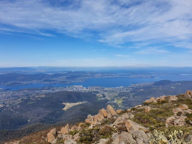 Mt Wellington Afternoon Small Group Driving Tour - Who Should Consider This Tour?