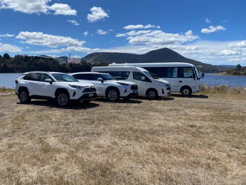 Mt Wellington & Hobart: Shore Excursion (Private Tour) - Key Points