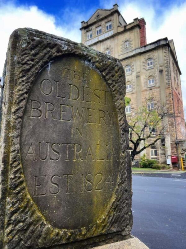 Mt Wellington Ultimate Afternoon Tour - The Experience in Action