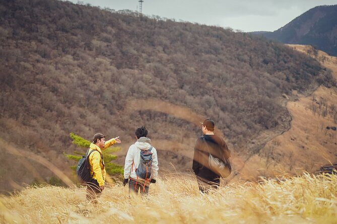 Mt. Yufu Grassland Private Hiking and Lunch - Key Points