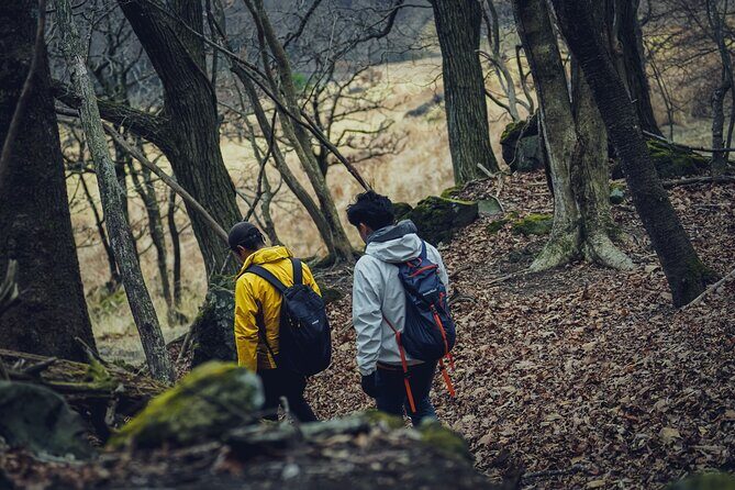 Mt. Yufu Grassland Private Hiking and Lunch - Final Thoughts