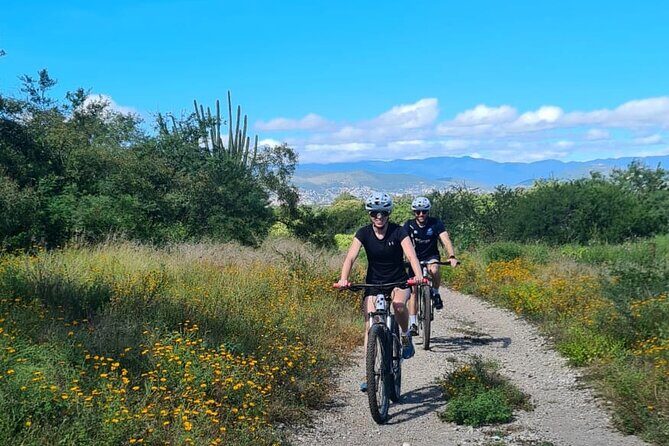 MTB Bike Tour: Monkey Tree + Tule Tree - Practical Considerations
