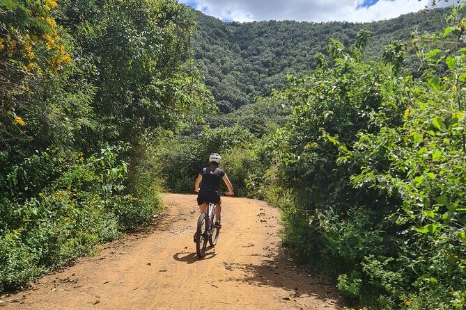 MTB Bike Tour: Monkey Tree + Tule Tree - The Sum Up