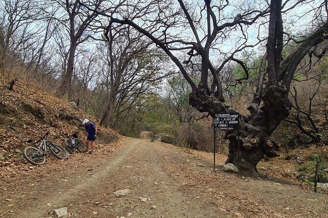 MTB Bike Tour: Monkey Tree + Tule Tree - FAQ