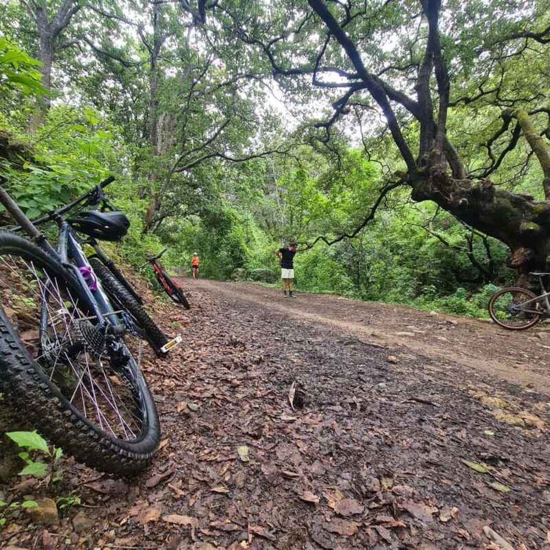 MTB Bike tour to the Monkey Tree + Bread Maker & Tule tree - Key Points