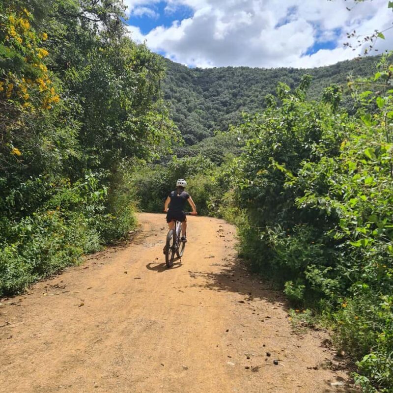 MTB Bike tour to the Monkey Tree + Bread Maker & Tule tree - The Itinerary: A Detailed Look