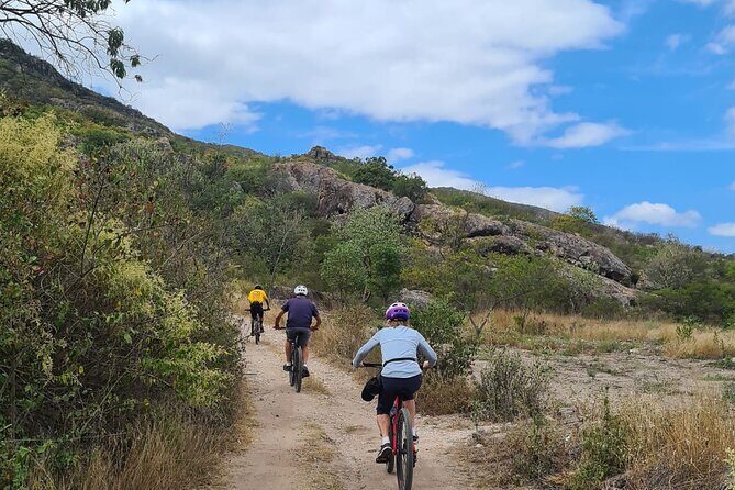 MTB Bike Tour: Tree of the Tule on mountain trails - What to Expect from the MTB Bike Tour