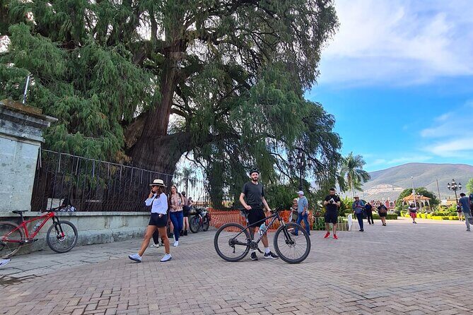 MTB Bike Tour: Tree of the Tule on mountain trails - The Sum Up: Who Will Love This Tour?