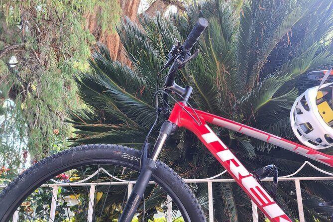 MTB Bike Tour: Tree of the Tule on mountain trails - FAQ: Your Questions Answered