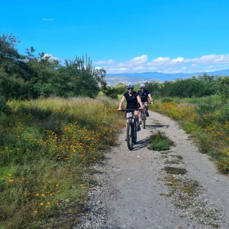 MTB Bike Tour: Tule Tree through the country-side - An in-depth look at the Tule Tree countryside bike tour