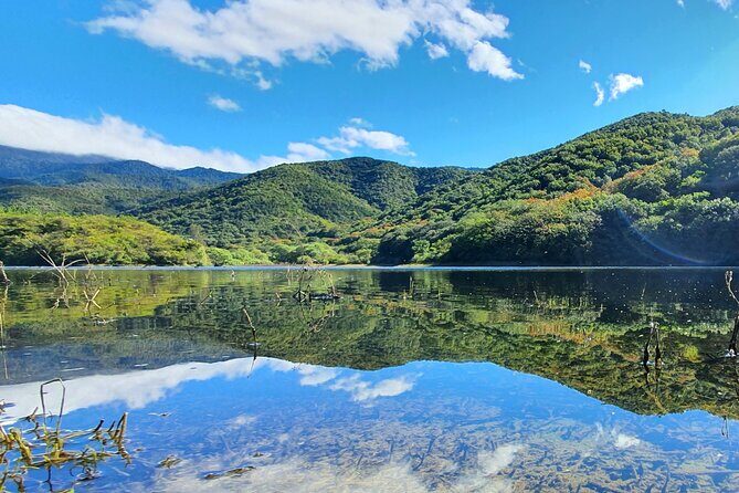 MTB Guided Ride, Tule Tree & Lake Half-Day - A Deep Dive into the Tour Experience