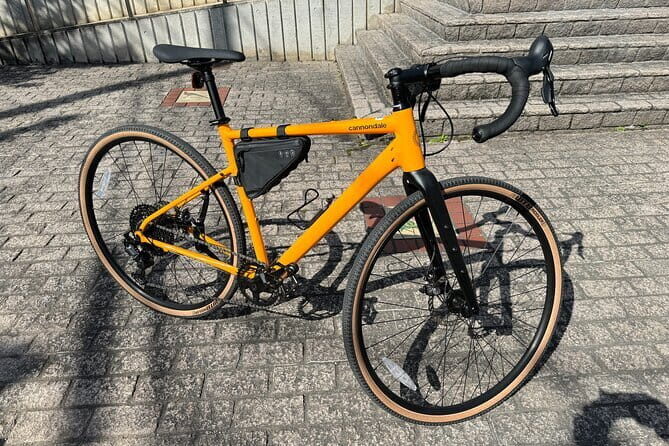 MTB, Hybrid or Gravel Road Bike Rental in Okutama, Tokyo - Why These Routes Matter