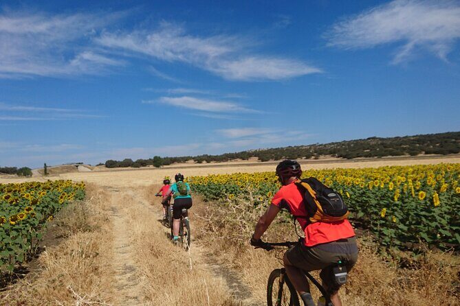 MTB (Self-Guided) Setenil de las Bodegas - 30km Easy - FAQ