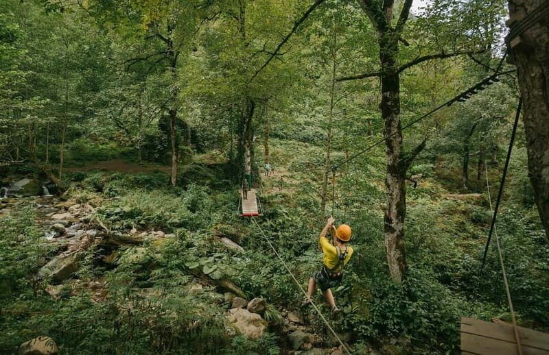 Mtirala National Park 2-Day Guided Hiking Tour from Kutaisi - The Tour Experience: What to Expect