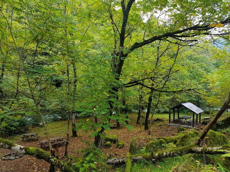 Mtirala National Park 2-Day Guided Hiking Tour from Kutaisi - Practical Details and What to Pack