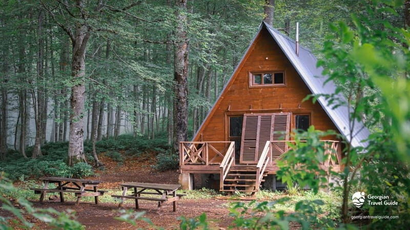 Mtirala National Park 2-Day Guided Hiking Tour from Kutaisi - Who Should Consider This Tour?