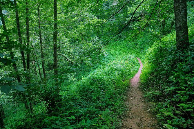 Mtirala National Park Tour - Authentic Experiences and Visitor Insights