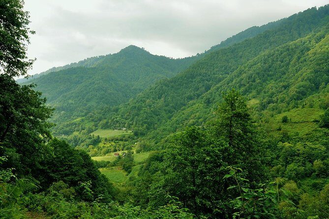 Mtirala National Park Tour - Who Is This Tour Perfect For?