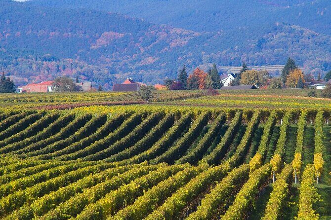 Mtskheta - Jvari Private Tour / UNESCO Sites - Who Would Love This Tour?