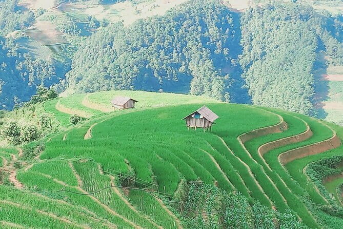 Mu Cang Chai One Day Trekking Tour With Local Guide - Detailed Breakdown of the Itinerary