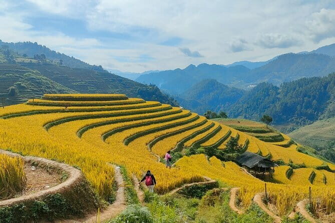 Mu Cang Chai One Day Trekking Tour With Local Guide - Final Thoughts