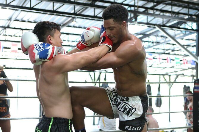 Muay Thai Experience - 1/2 Day - Is This Tour Worth It?