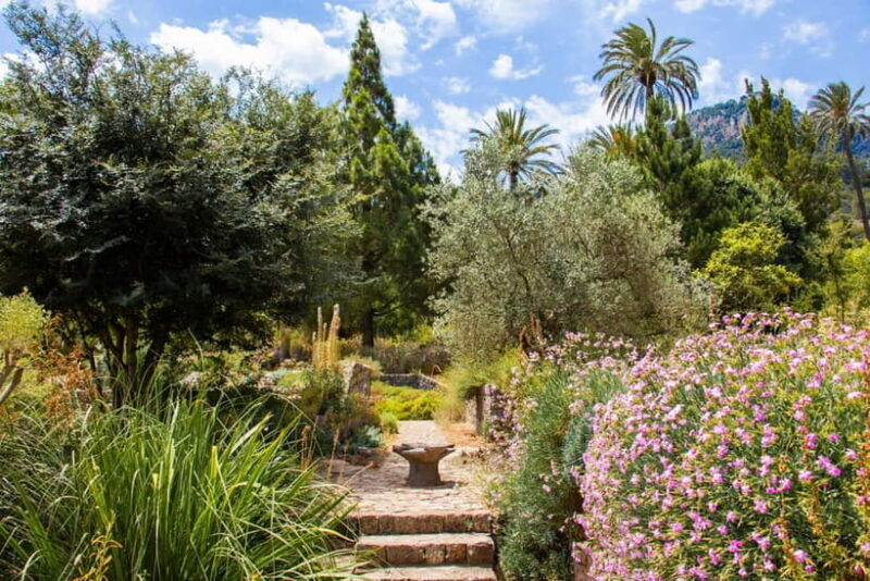 MUCBO | Jardí Botànic de Sóller - Balearic Museum of Natural Sciences - What to Expect During Your Visit