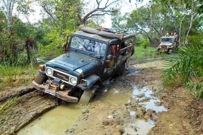 Mud Safari from Habarana - Detailed Breakdown of the Itinerary