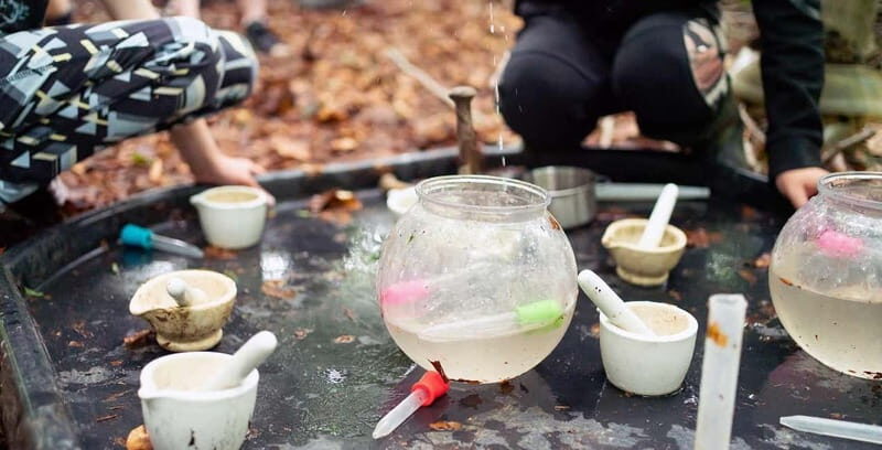 Muddy Tots Go Wild Forest School - Ballynahinch Co. Down - An In-Depth Look at This Forest School Experience