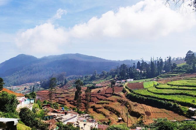 Muesum & Garden Tour of Ooty (4 Hours Guided Walking Tour) - FAQs